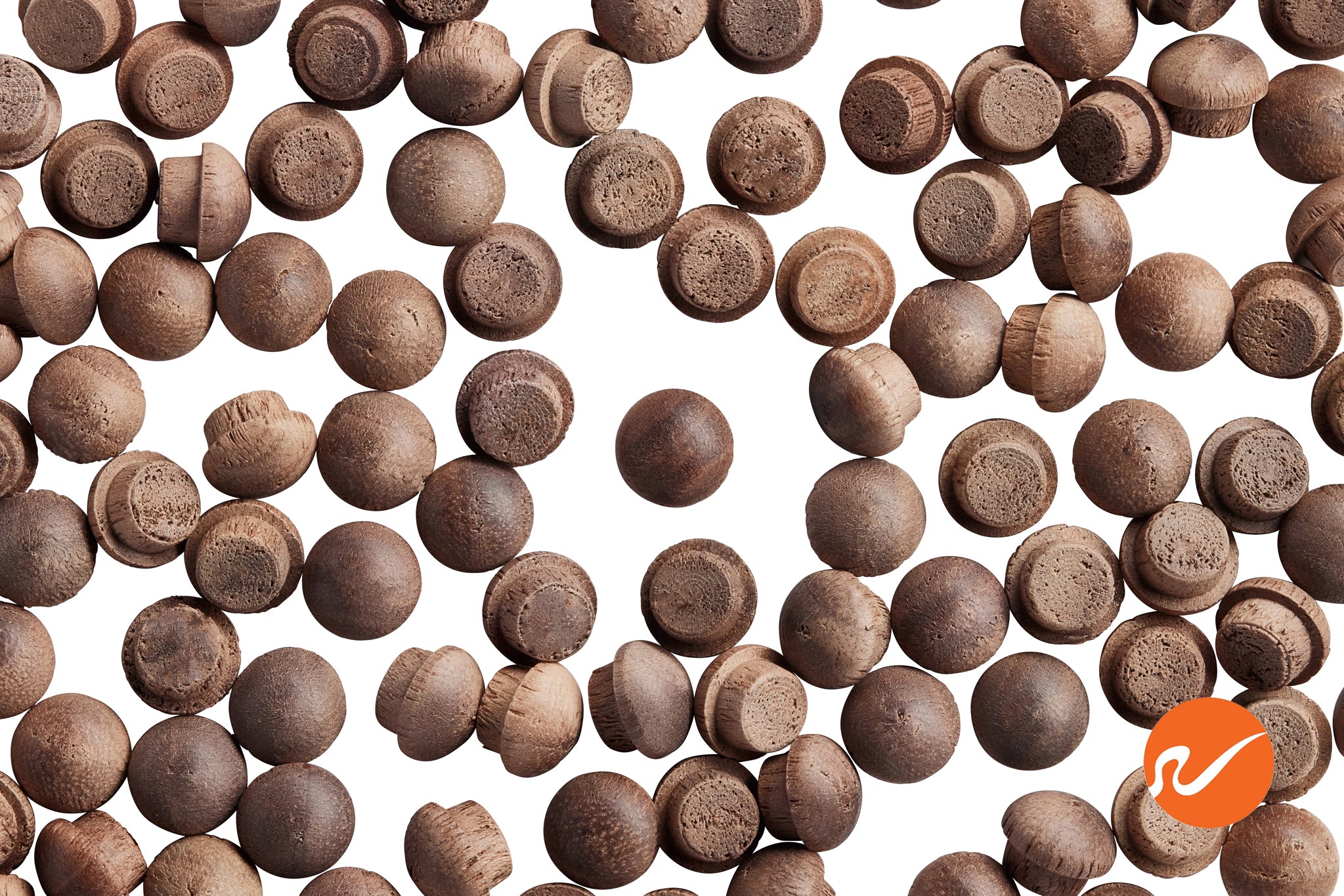 1/4" Walnut Button Top Wood Plugs - WidgetCo