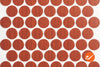 Autumn Cherry Fastcaps - WidgetCo
