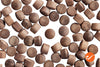3/8" Walnut Oval Wood Plugs - WidgetCo